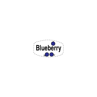 Blueberry flavor bakery deli label