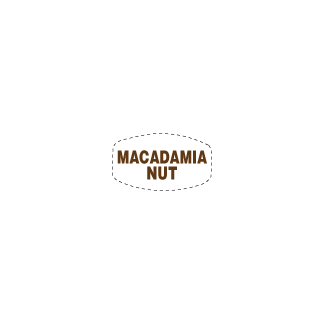 Macadamia Nut on white