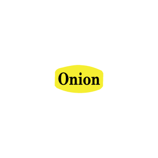 Onion on white