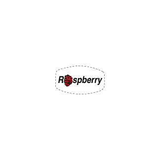 Raspberry on white