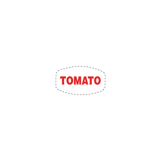 Tomato on white